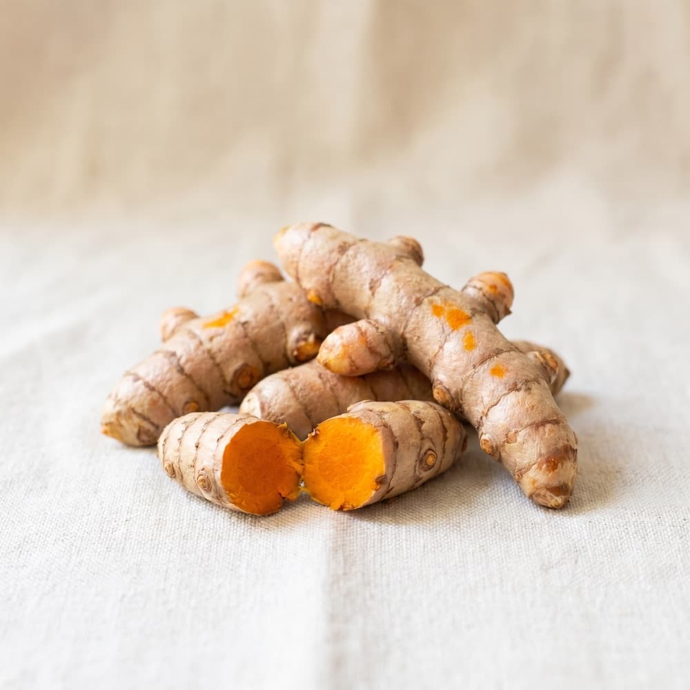 Kurkuma (Curcuma longa) — fotografia byliny